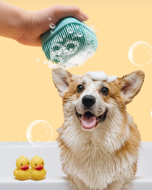 Cepillo Jabonero Masaje Para Mascota